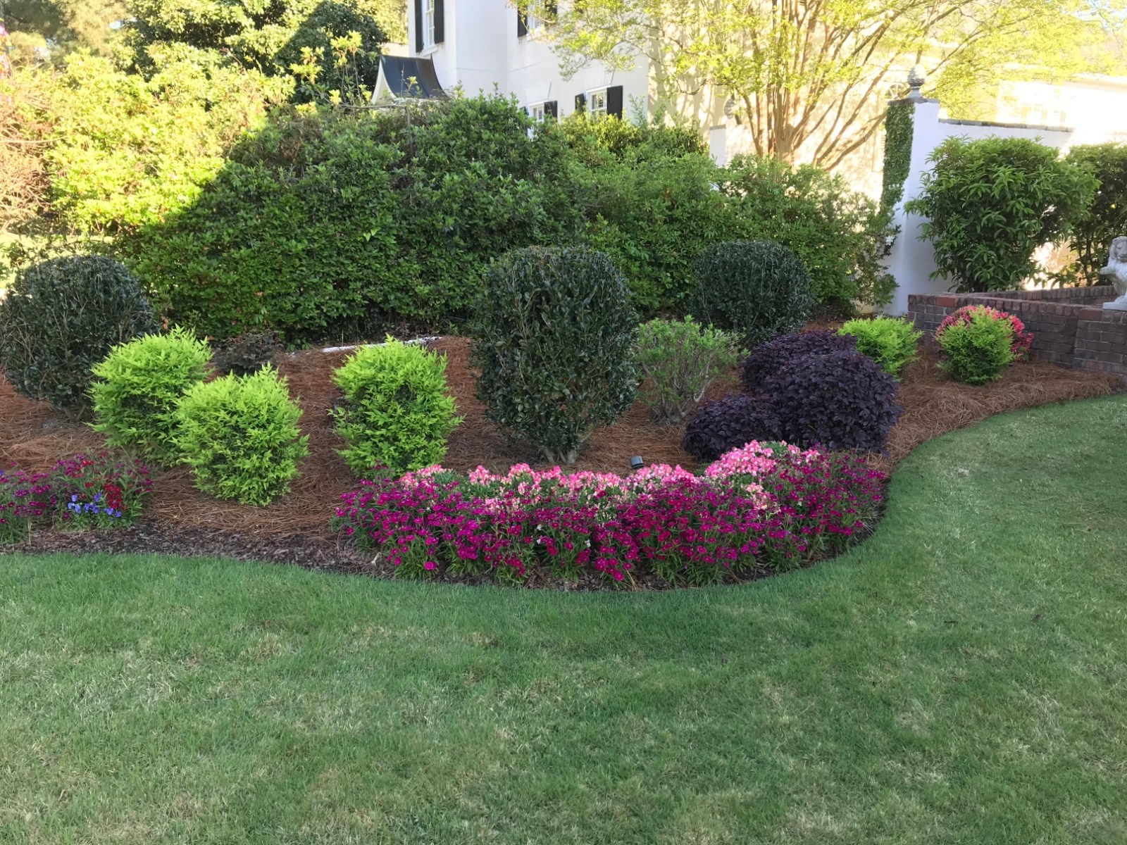 Planting bed of shrubs and flowering seasonal color alongside a home in Columbia County, Georgia