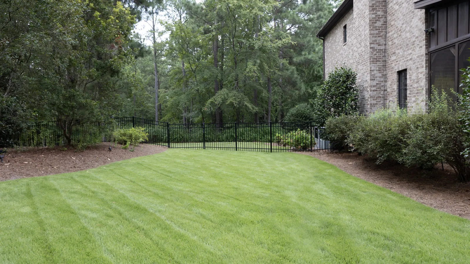 Mown lawn striped in wide bands, edged by shrub beds and a black aluminum fence at the wood line