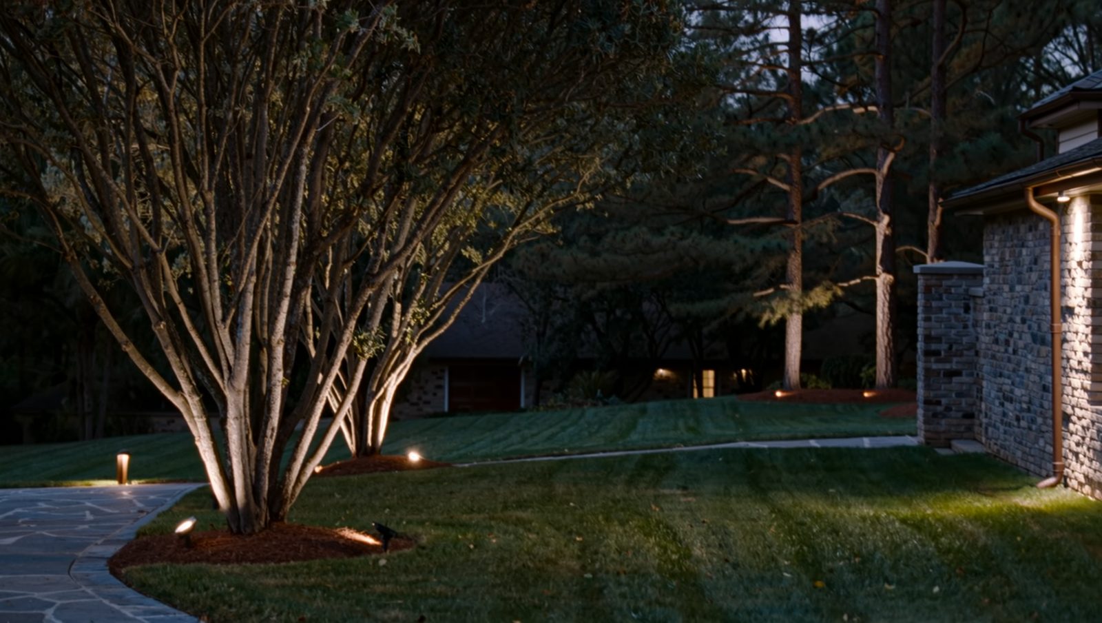 Low-voltage uplights on crape myrtles and path lights along a stone walk at dusk